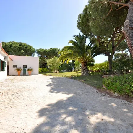 Casa Da Palmeira ヴィラ