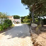 Casa Da Palmeira * Quarteira